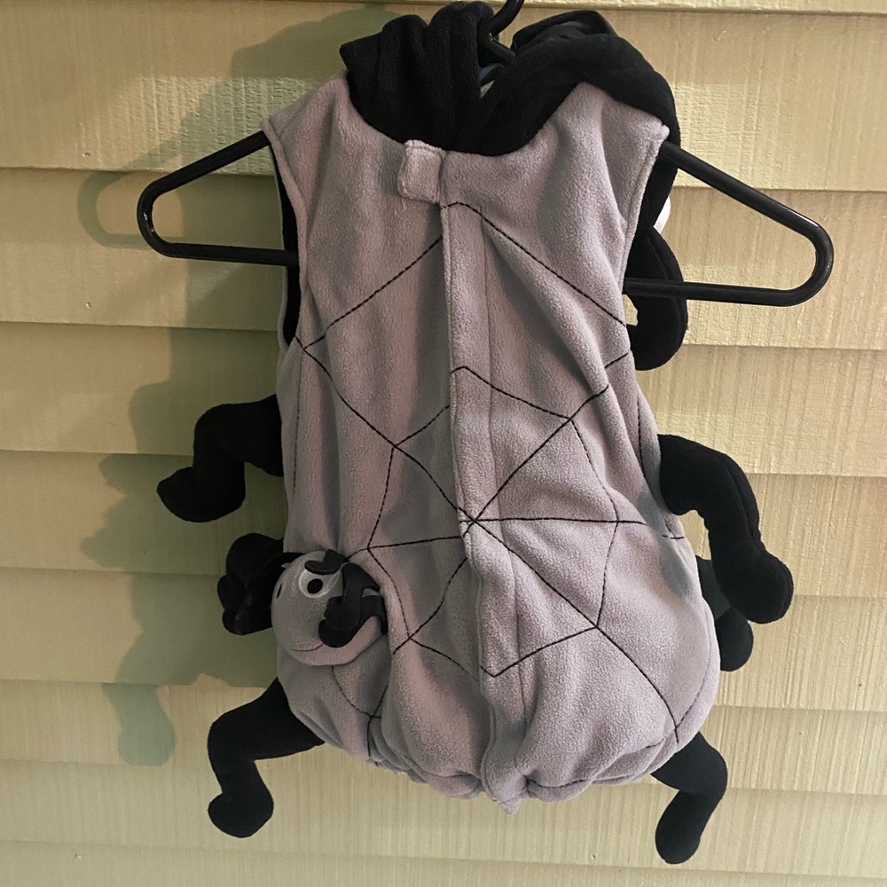 2/3 T Spider Halloween costume